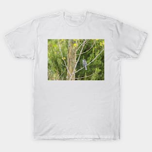 41417 in the bush T-Shirt